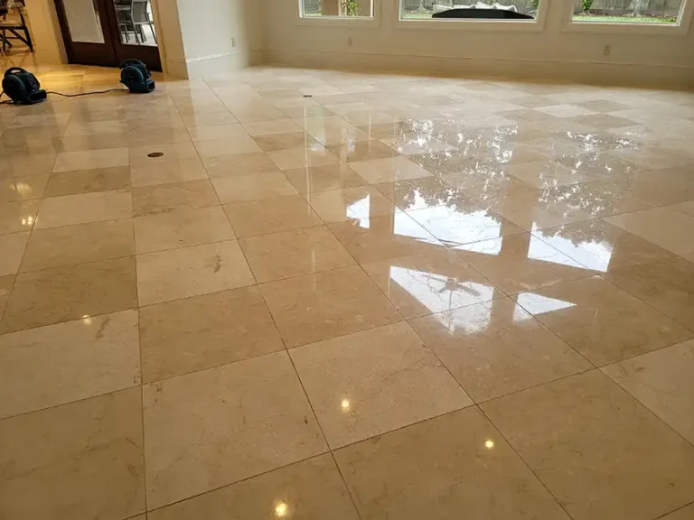 Tile Floor Cleaning Houston image